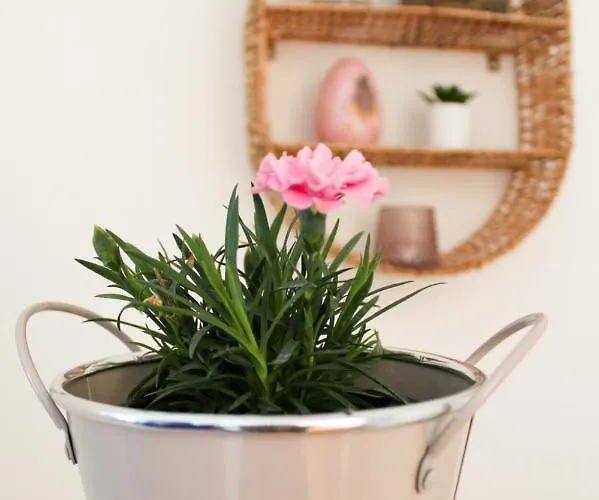 Atria Ii Appartement